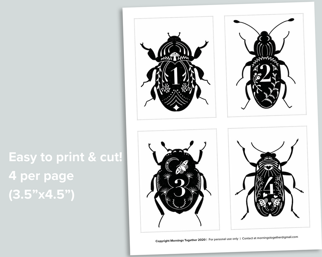 Beetle Number Cards 1-20
