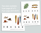 Nature Count & Clip Cards