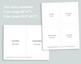 Days Months Seasons Flashcards (Spanish)