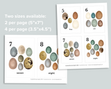 Egg Counting Cards 1-20