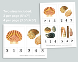 Seashell Mini Bundle