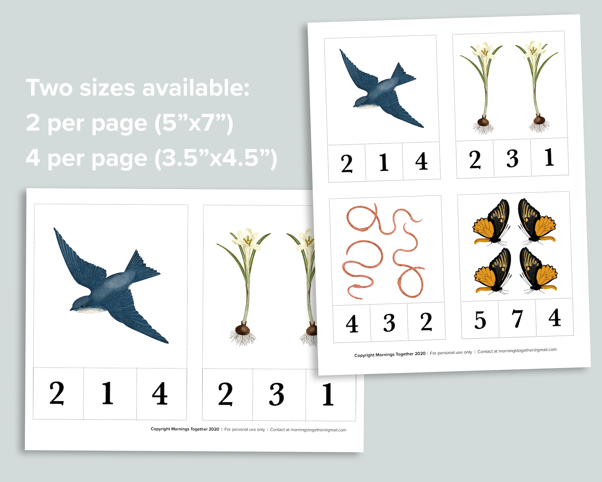 Spring Count & Clip Cards