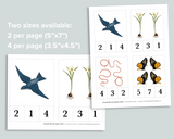 Spring Count & Clip Cards