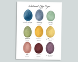 Egg Mini Bundle