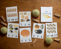 Shell Count and Clip Cards