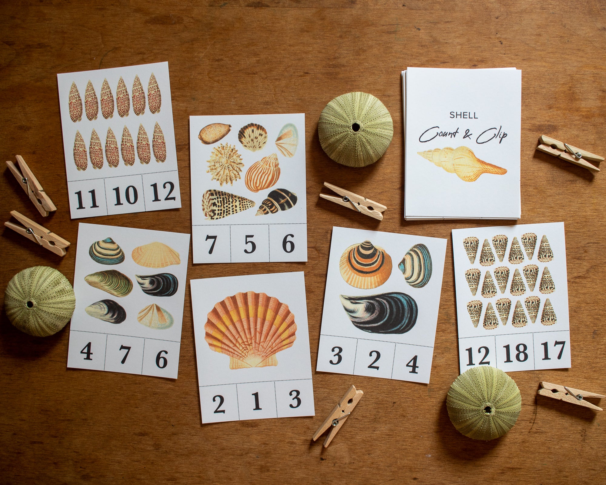 Shell Count and Clip Cards