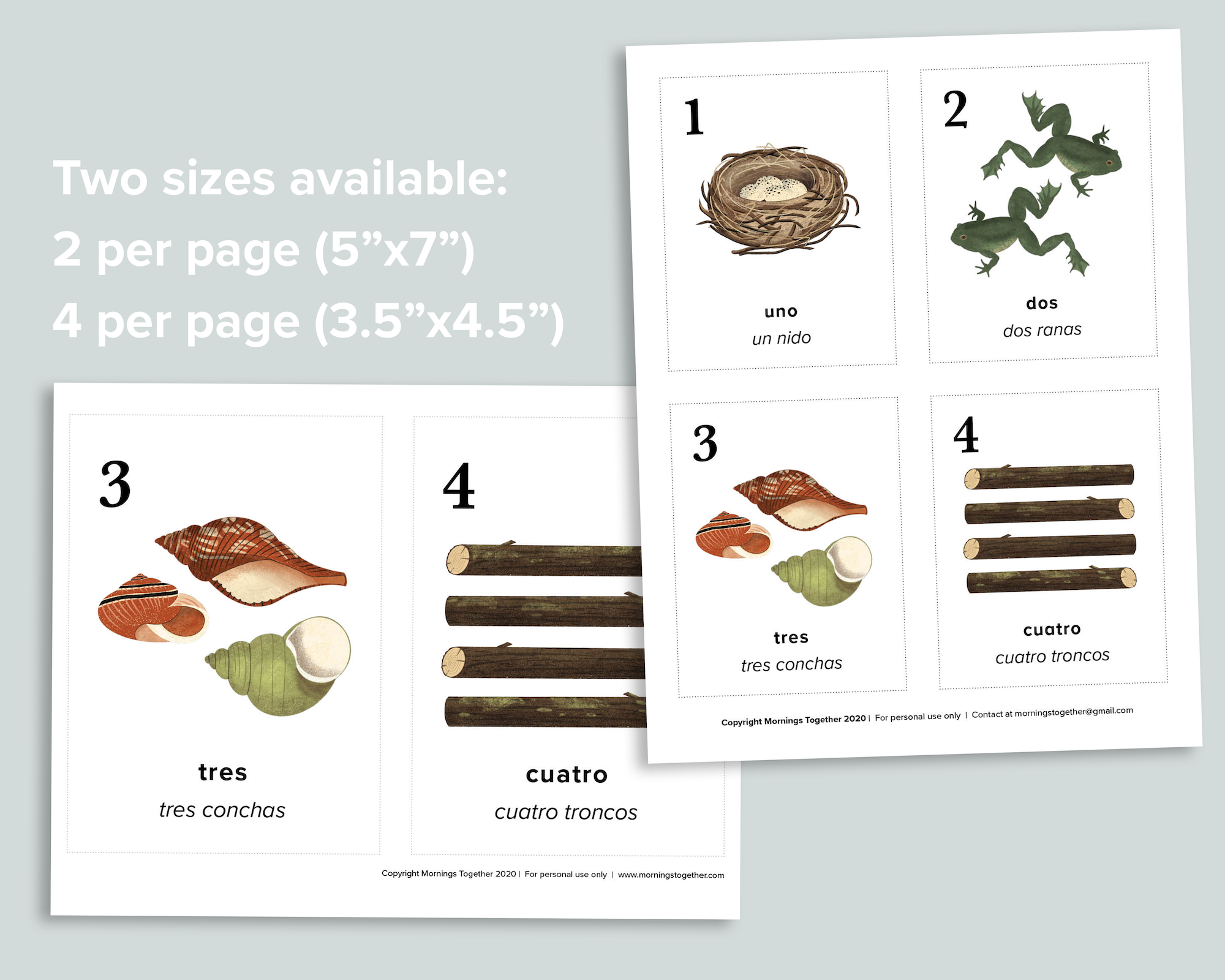 Nature Counting Cards (Spanish)