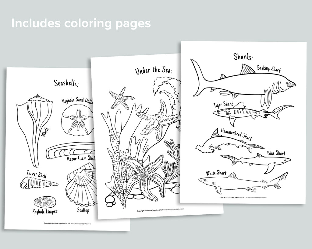 Ocean Activity Pack