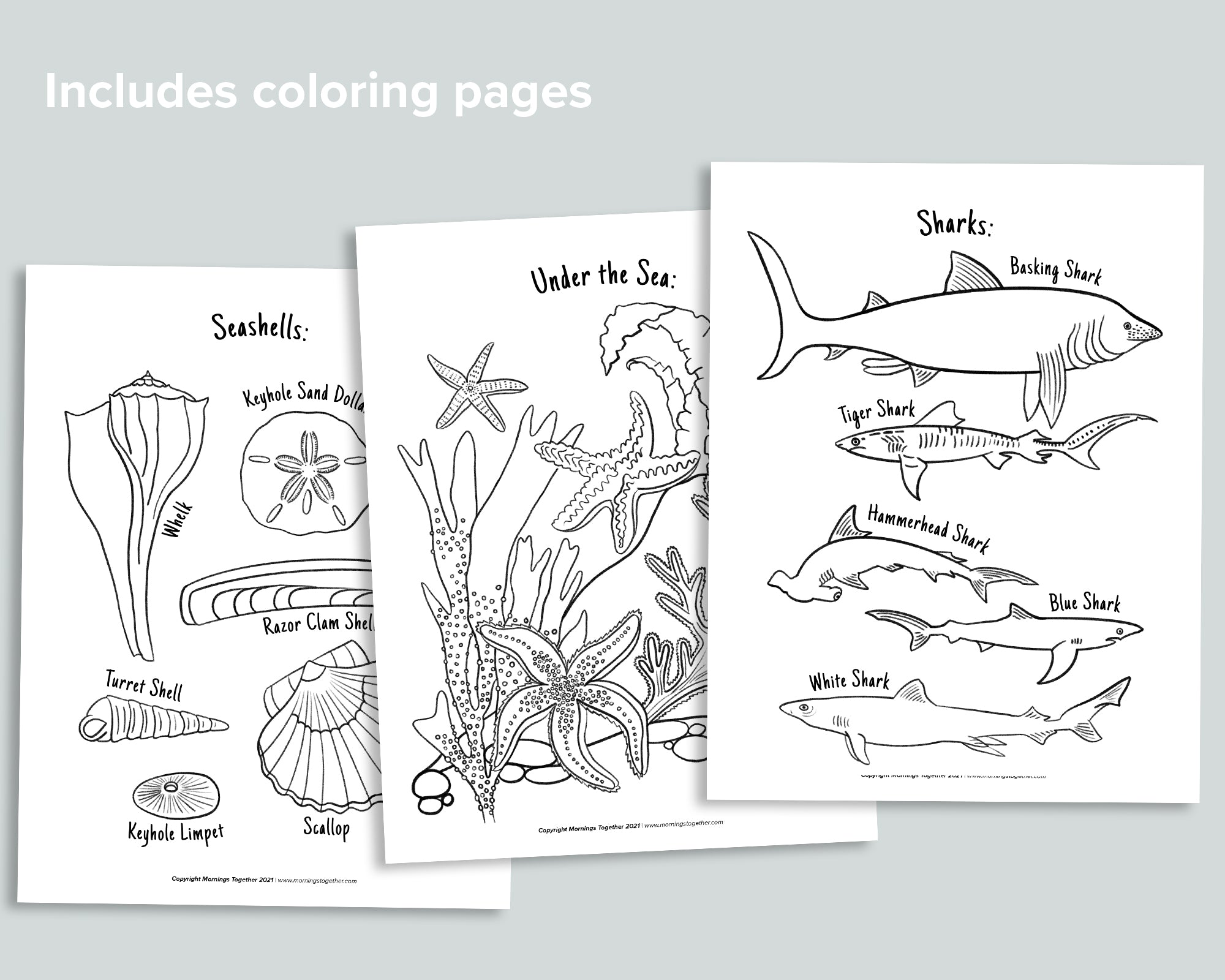 Ocean Activity Pack