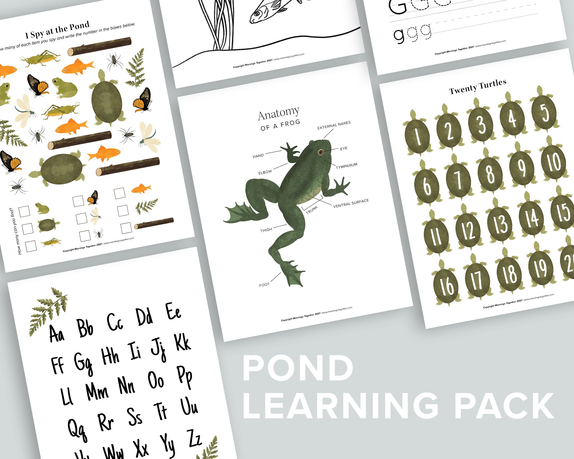 Pond Learning Pack