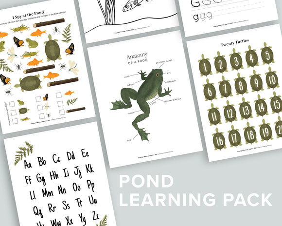 Pond Learning Pack
