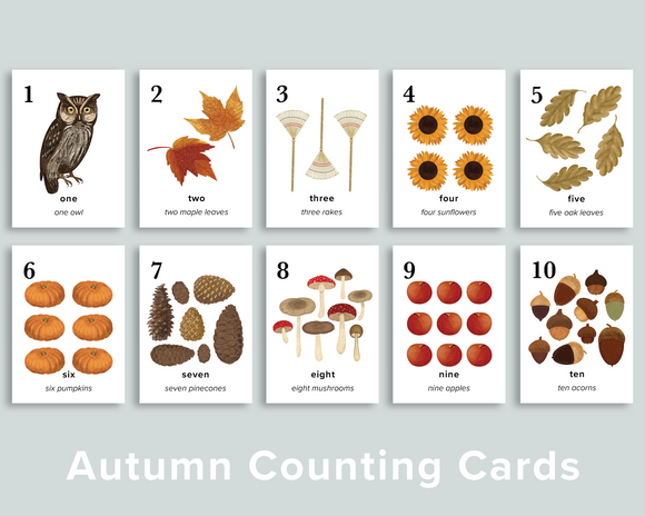 Autumn Nature Counting Cards