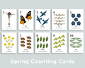 Spring Counting Cards