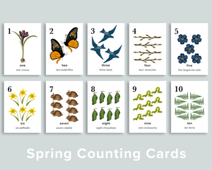 Spring Counting Cards