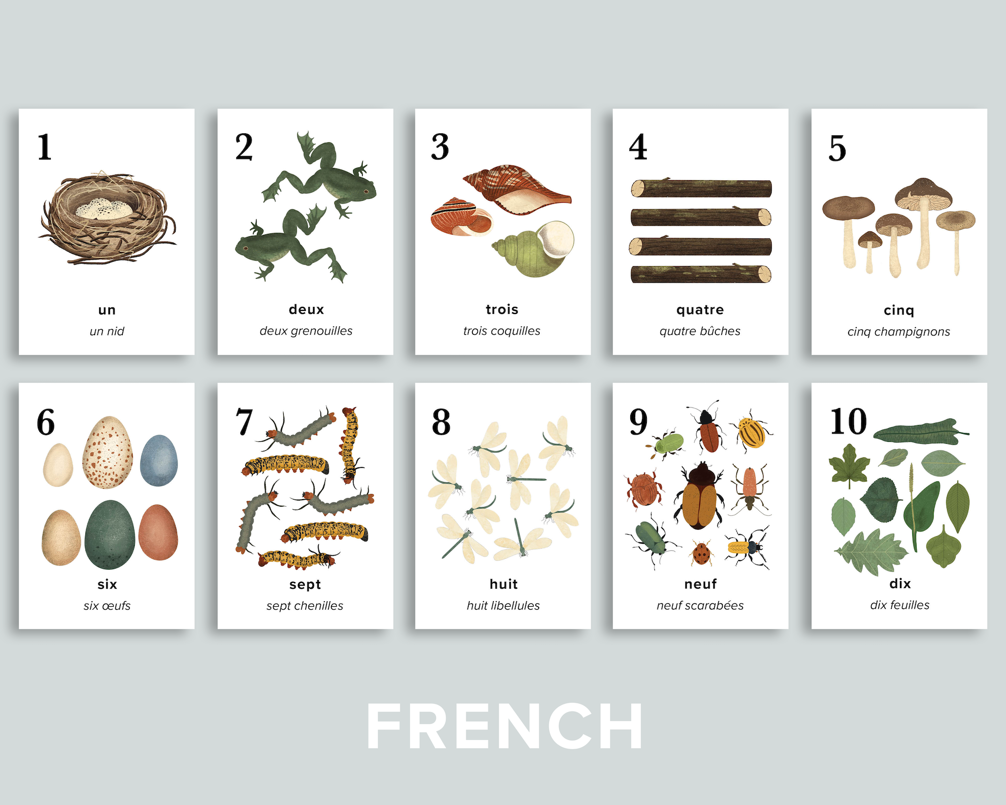 Nature Counting Cards (French)