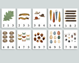 Nature Count & Clip Cards