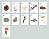 Nature Alphabet Flashcards