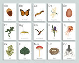 Nature Alphabet Flashcards