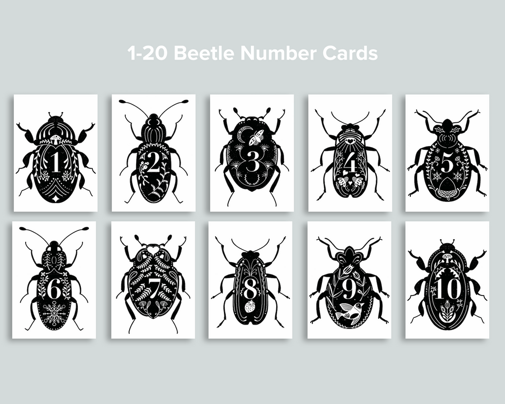 Beetle Number Cards 1-20