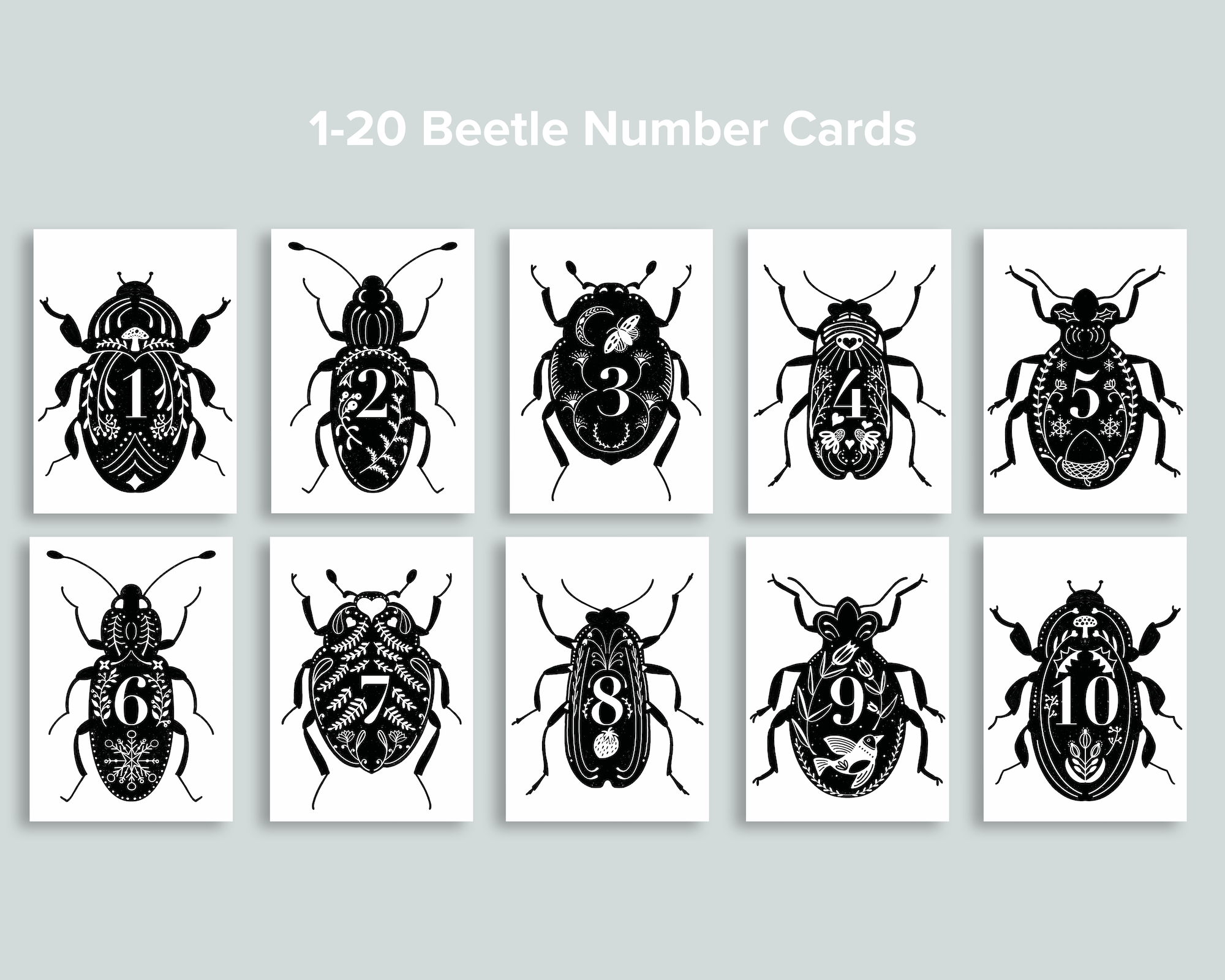 Beetle Number Cards 1-20