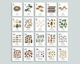 TOTAL BUNDLE Spanish