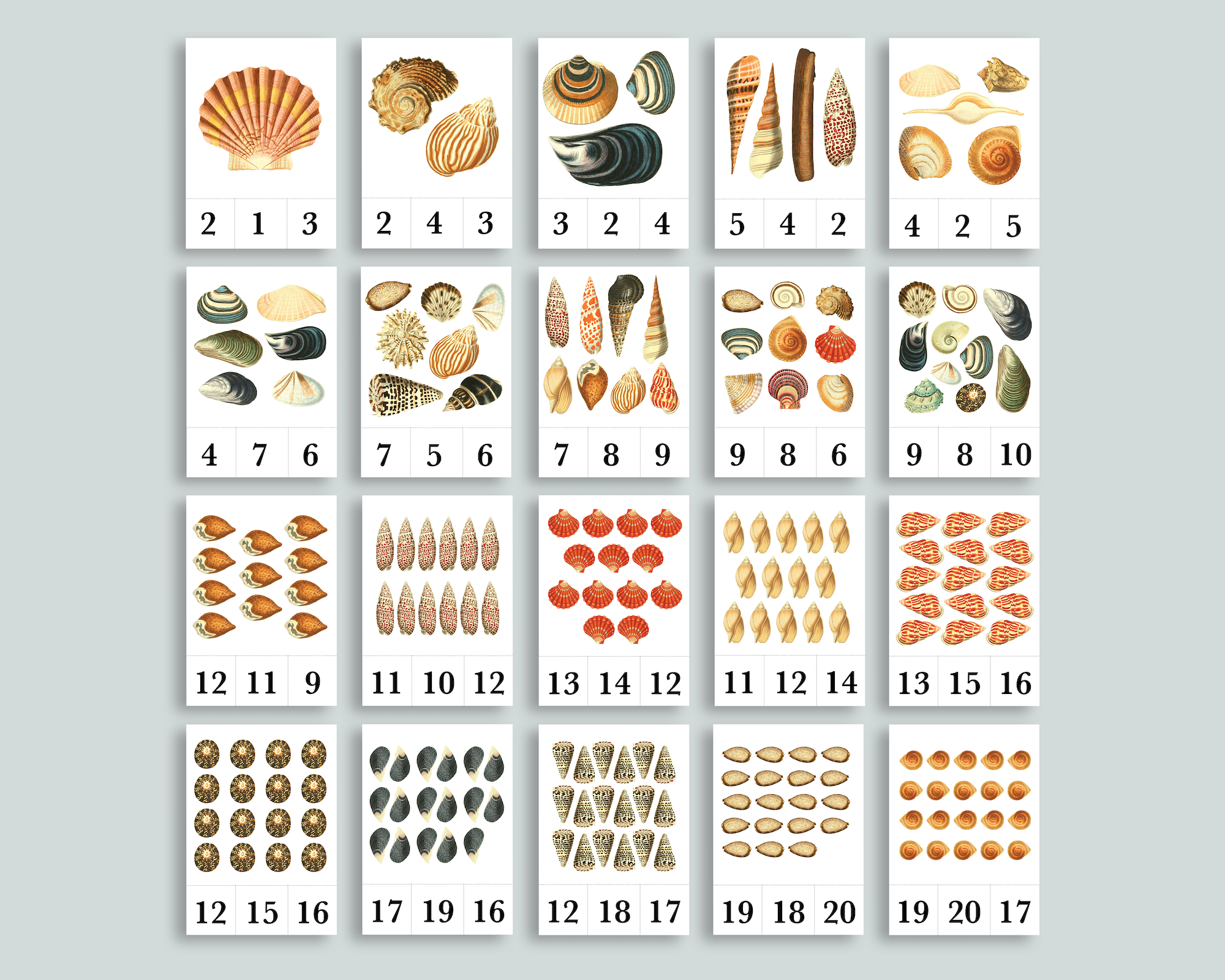 Shell Count and Clip Cards