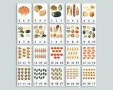Shell Count and Clip Cards