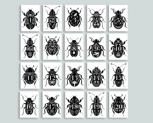 Beetle Number Cards 1-20