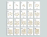 Bee Counting Cards 1-20 (Spanish)