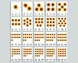 Sunflower Count and Clip Cards