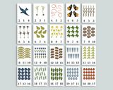 Spring Count & Clip Cards