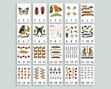 Bugs Count and Clip Cards