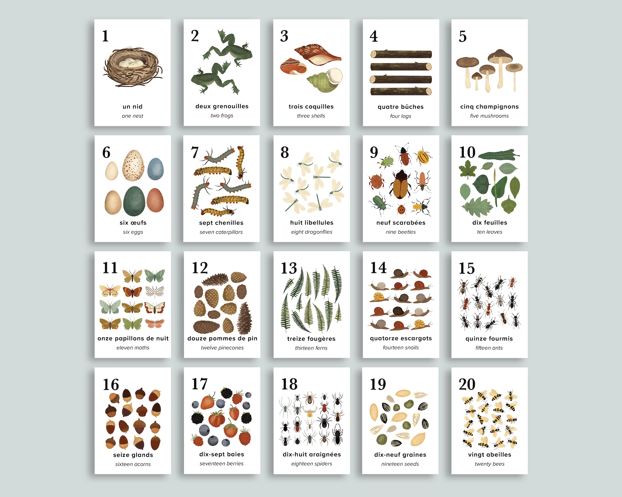 Nature Counting Cards (French)