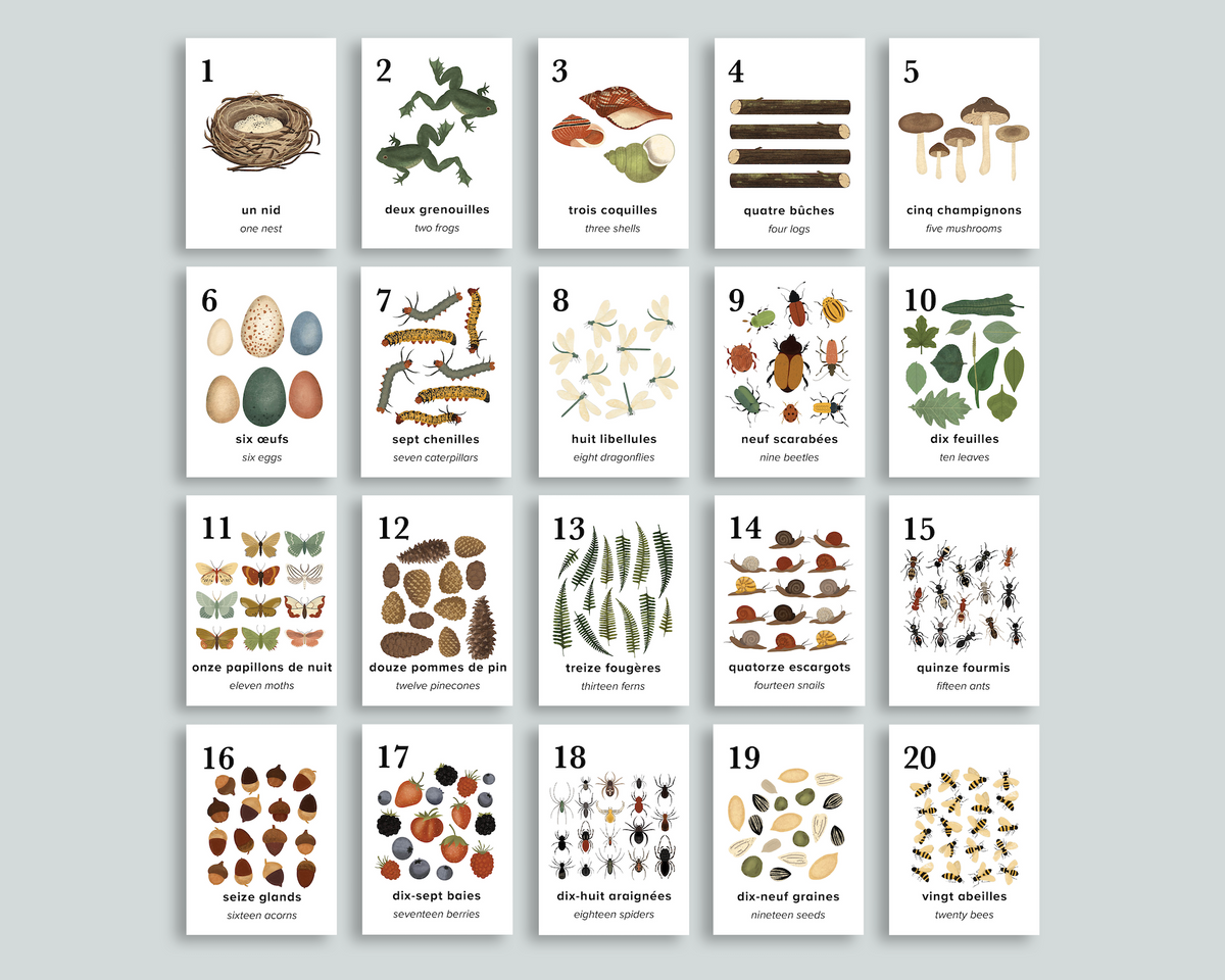 Nature Counting Cards (French) – Mornings Together