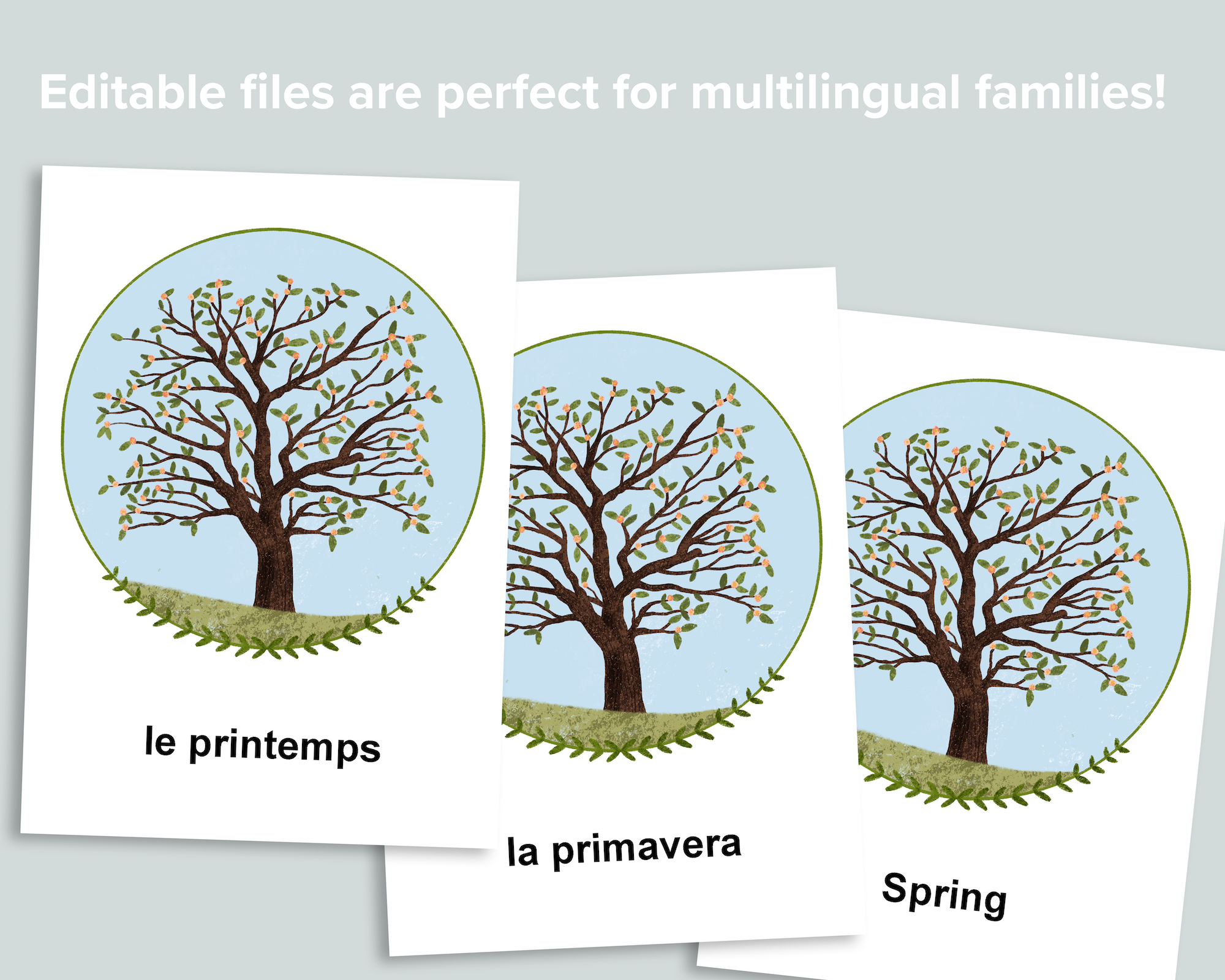 Editable Seasons Flashcards