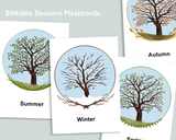 Editable Seasons Flashcards