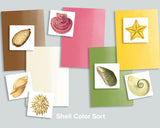 Shell Color Sort