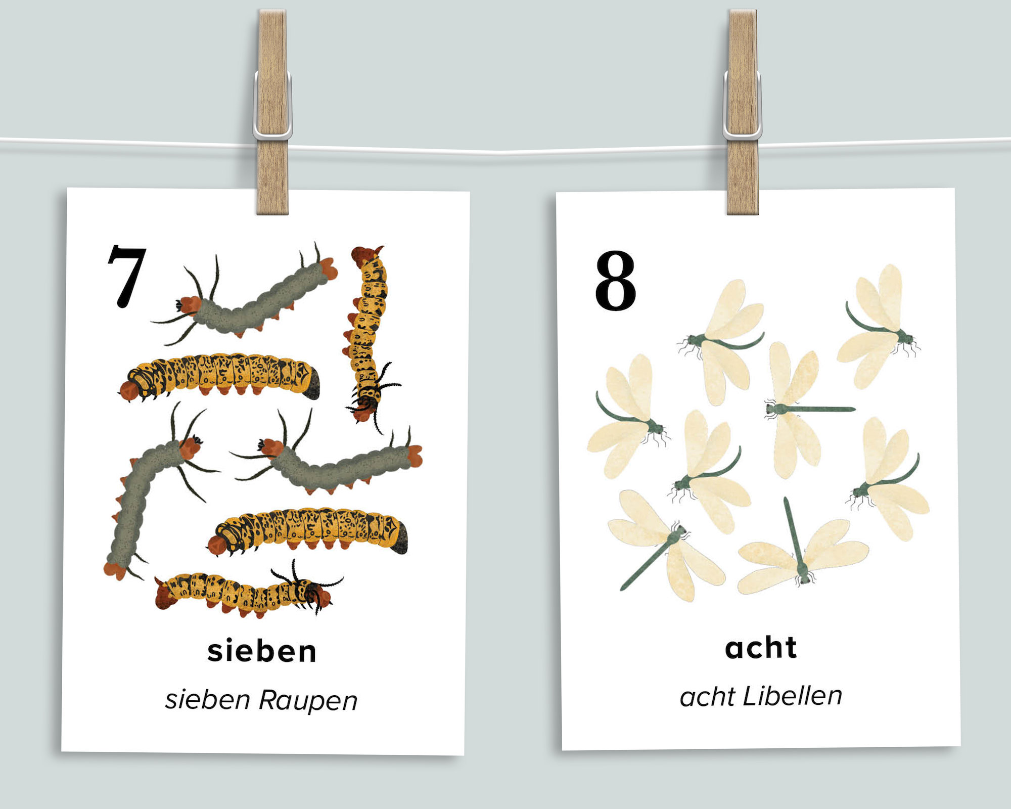 Nature Counting Cards (German)