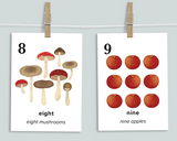 Autumn Nature Counting Cards
