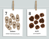Winter Nature Counting Cards (German)