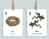 Nature Counting Cards (French)