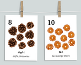 Winter Nature Counting Cards
