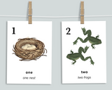 Nature Preschool Bundle