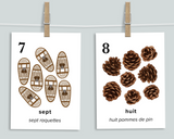 Winter Nature Counting Cards (French)