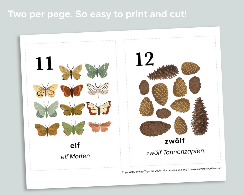 Nature Counting Cards (German)