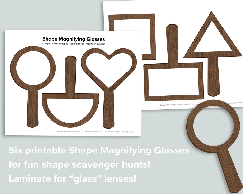 Shape Explorer Set