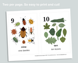 Nature Counting Cards
