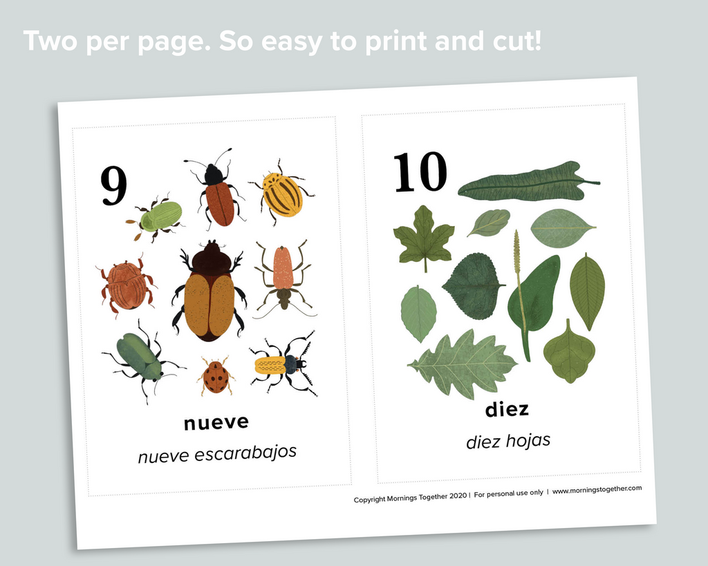 Nature Counting Cards (Spanish)