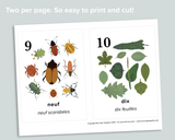 Nature Counting Cards (French)