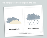 Weather Flashcards (Spanish)